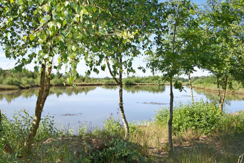 Egebjerggaard Bed & Breakfast Sig المظهر الخارجي الصورة