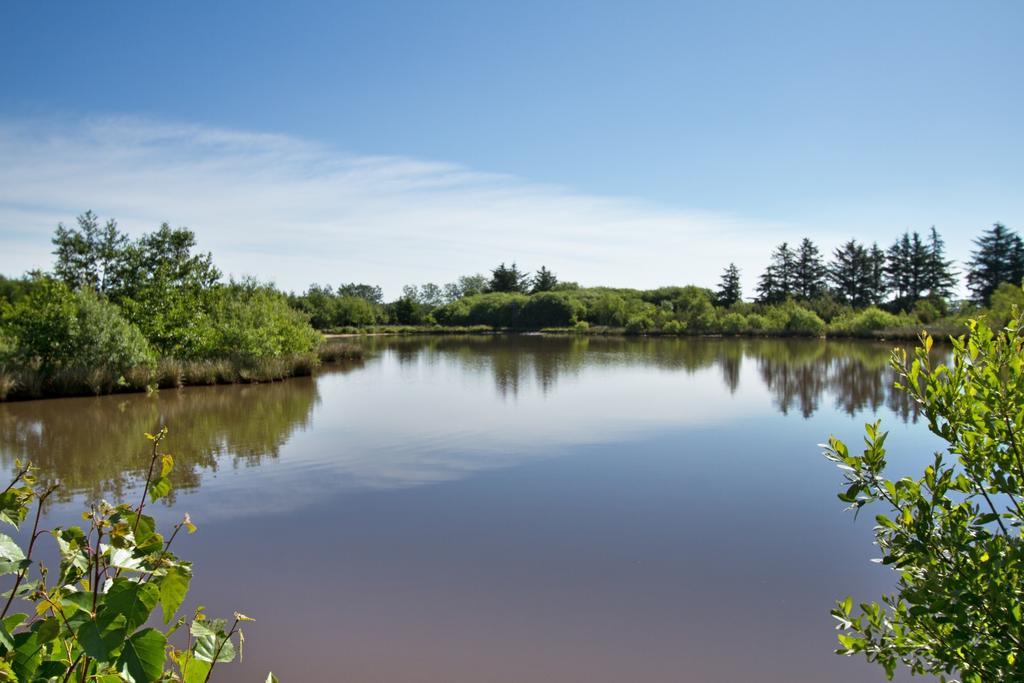 Egebjerggaard Bed & Breakfast Sig الغرفة الصورة